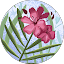 Deborah Hoopaugh Avatar